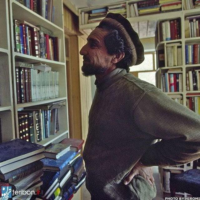 Lion’s Library