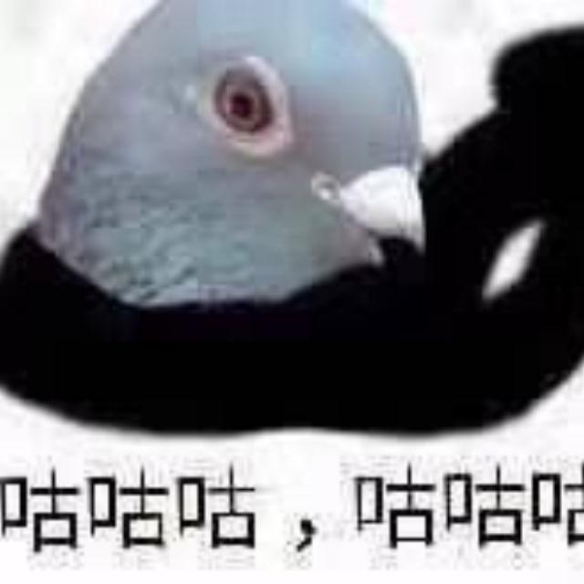 /var/log/AnkelNet.log