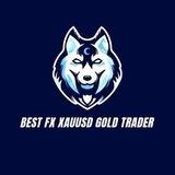 BEST XAUUSD GOLD TRADER