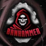BANHAMMER FAMILY