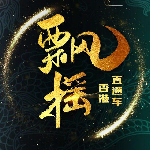 飘摇国际支付频道/香港直通车/购汇电汇无视料