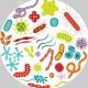 Microbiology MBBS notes and mcq's