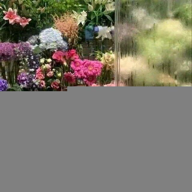 منشورات كرائحة الورد المتنوعه🌸