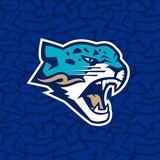 barys_official