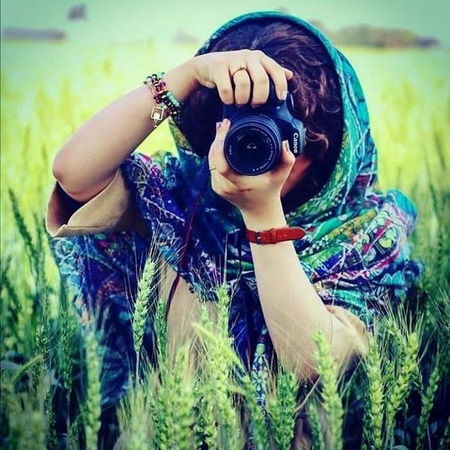 شمالی کیجا🌱