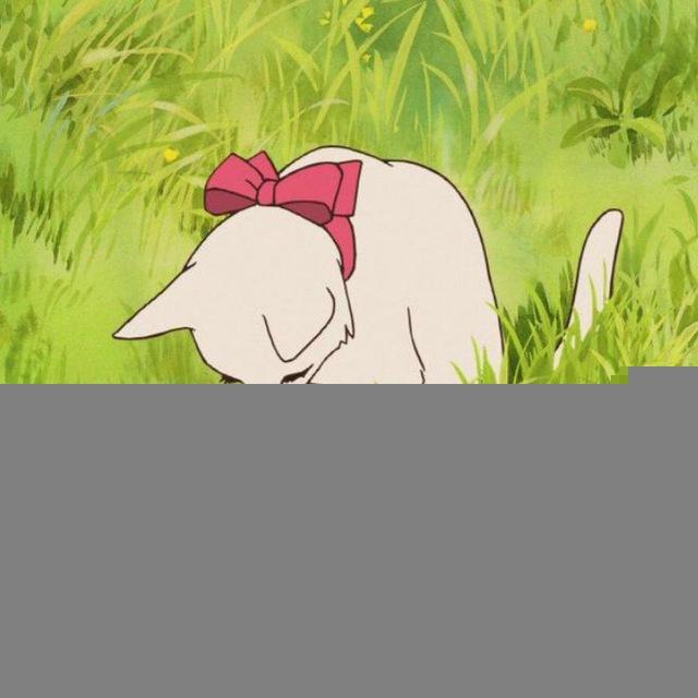 🌱 вечерняя болтовня подсолнуха 🌱