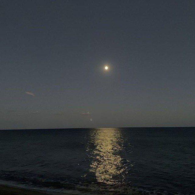 بَاكيت