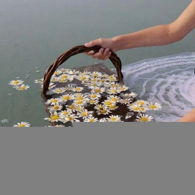 Ескапізм✙
