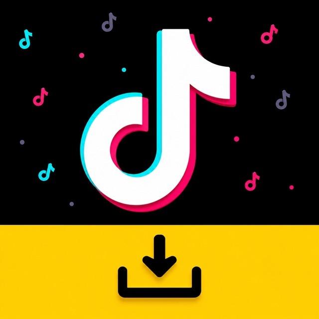 Tik Tok Downloader