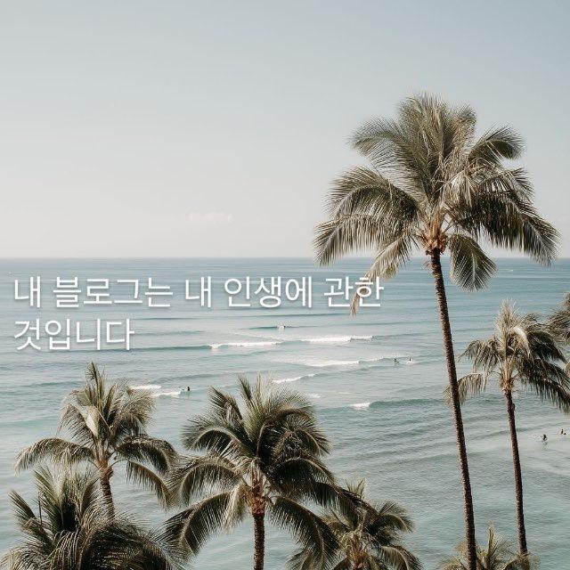 ♡ блог о моей жизни ʚɞ 내 블로그는 내 인생에 관한 것입니다