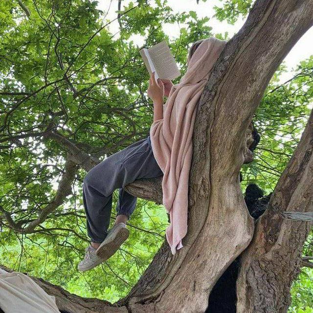 شَجرة🌲