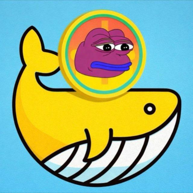 MemeCoin Whale Pumps