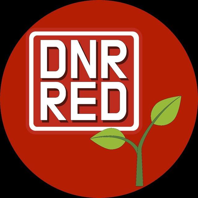 DNR.RED Дом и сад