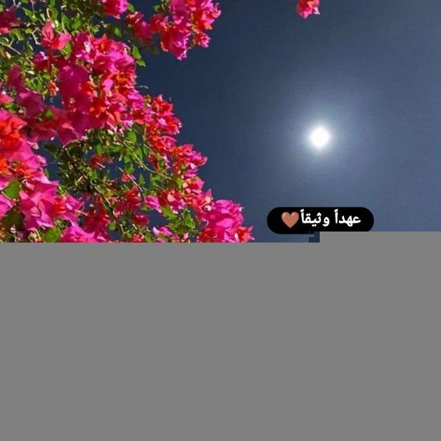 عهداً وثيقا