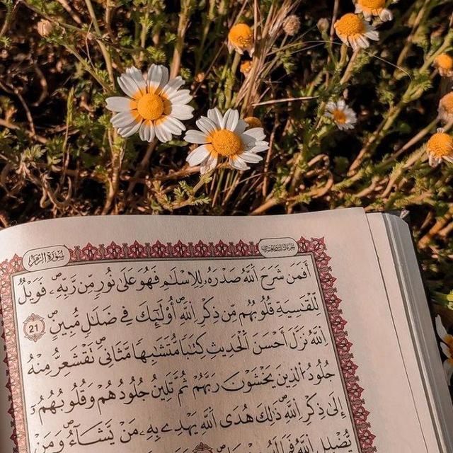 رَيَاحِينُ الجِنَانِ 📚