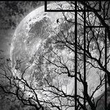 The moon 🌙