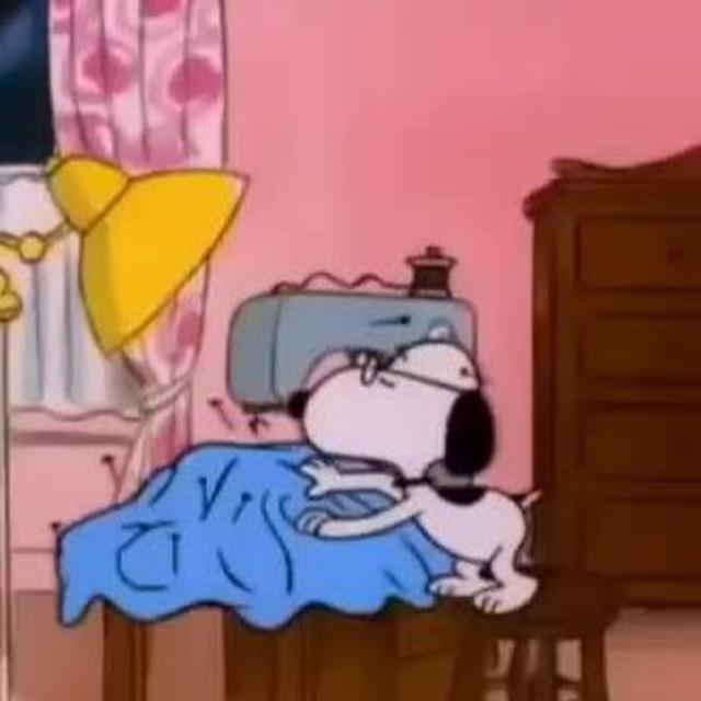 Даша Дружочек