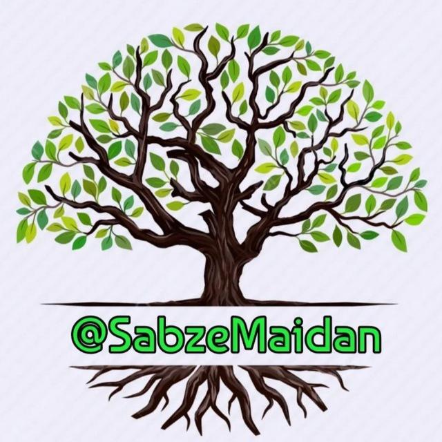 نرخ دلار سبزه تهران