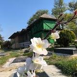 روستای امیرکلا بابلکنار