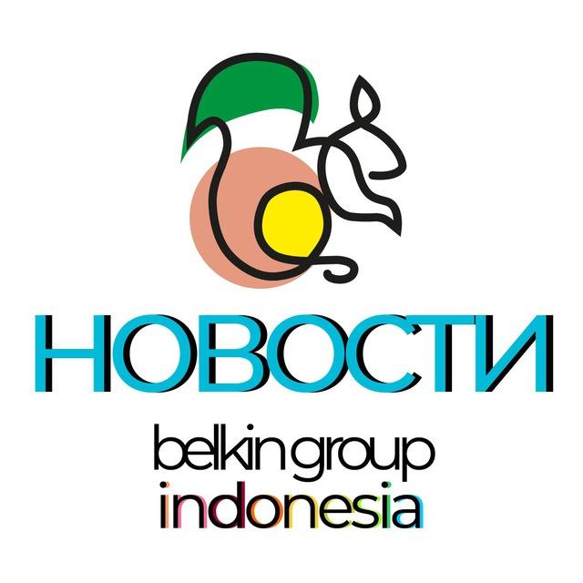 Belkin News
