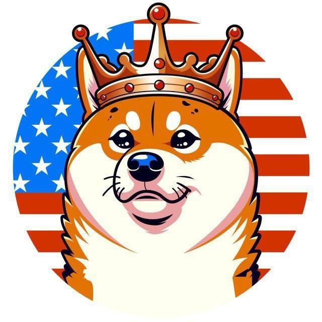 VoteDoge Portal