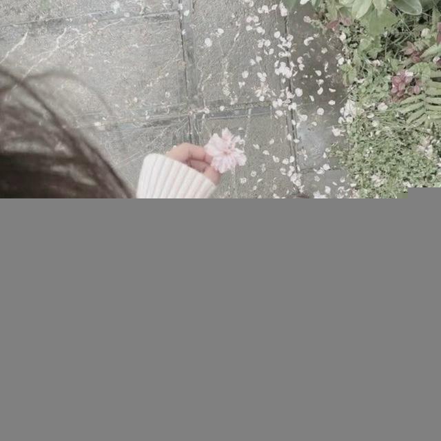 .૰꒪🌸𝑺𝒄𝒉𝒐𝒐𝒍 𝒕𝒊𝒑𝒔🌸꒪૰.