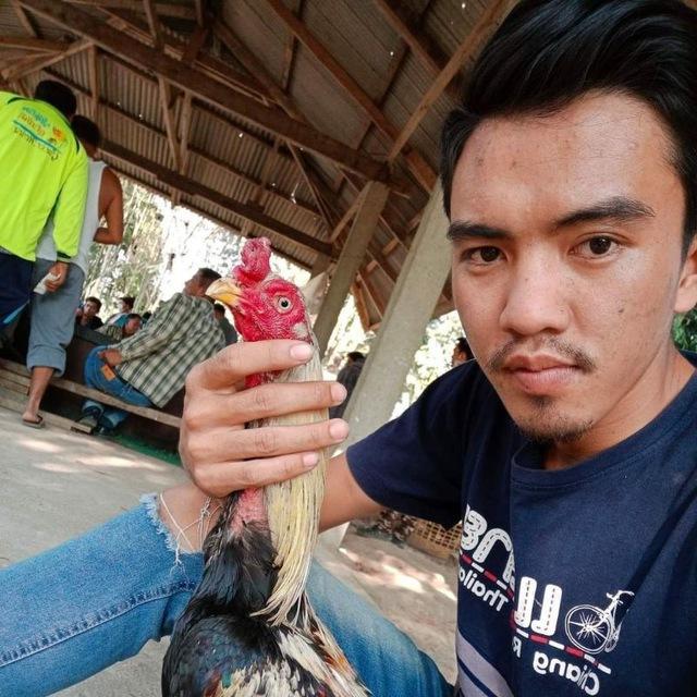 u sai hseng pha