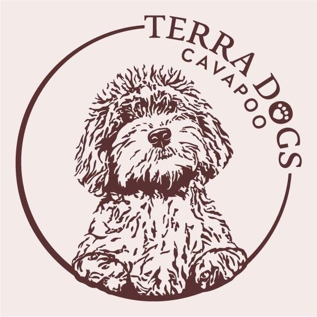Terra Dogs КАВАПУ