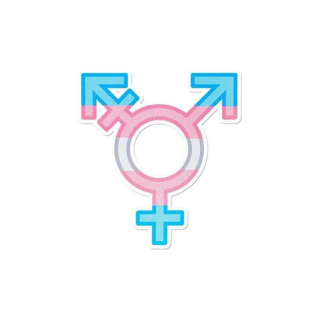 Trans land🏳️‍⚧️