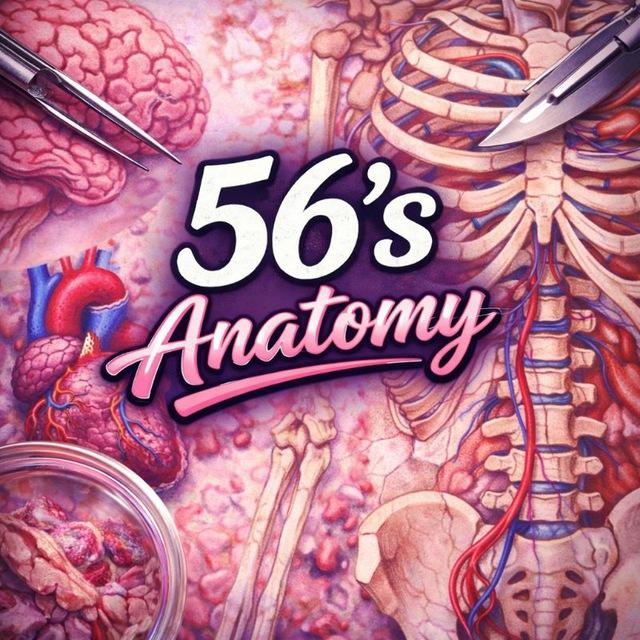 56's 𝐀𝐍𝐀𝐓𝐎𝐌𝐘