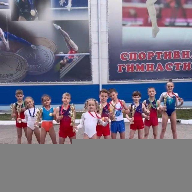 Мужское/Женское Спортивная гимнастика
