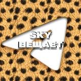 Вещает Sky Team | Арбитраж трафика