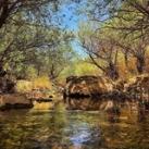 دوره ۷ روزه تغییر فرکانس