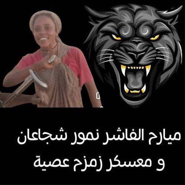 🇸🇩 كلنا الفاشر 🇸🇩
