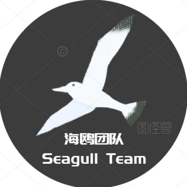 海鸥团队研究所