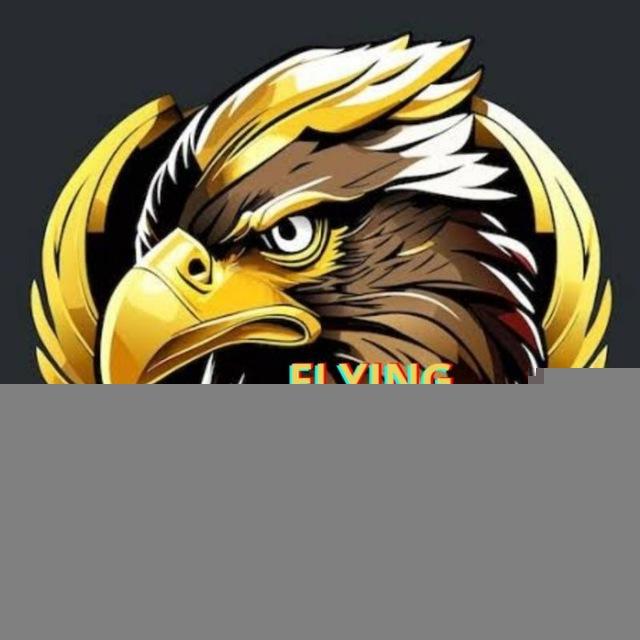 Flying_Crypto