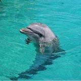 Подводная охота в Крыму.