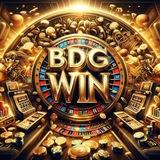 BDG discussion group