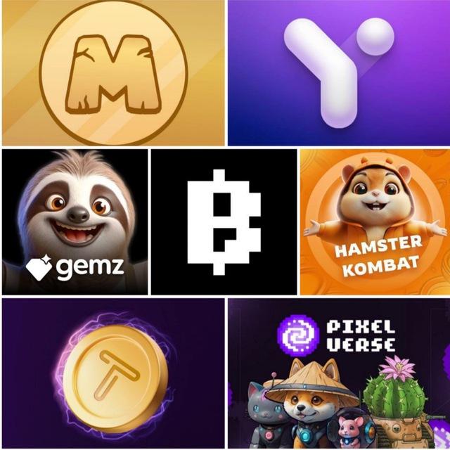 MRX Crypto • Airdrop Hunter • Notcoin • Blum • Hamster Combat • Musk Empire • Dogs