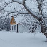 Усадьба Черновых