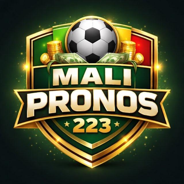 🇲🇱 MALI PRONOS 223 🇲🇱