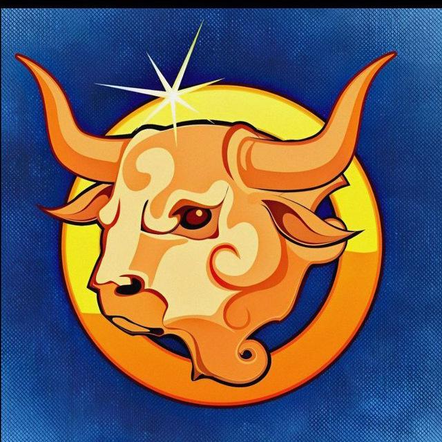 Bitcoin Bulls™