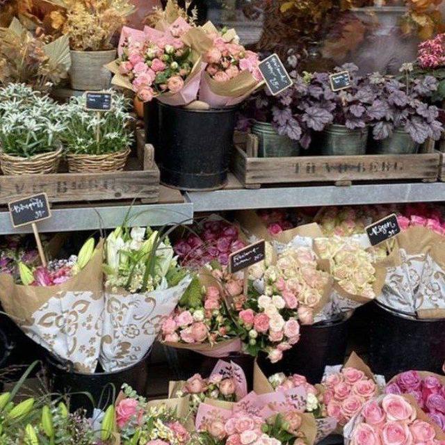 "نَـبـضُ الإيـمَـانْ🕊️💗"