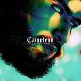 Album cameleon elgrandetoto, toto