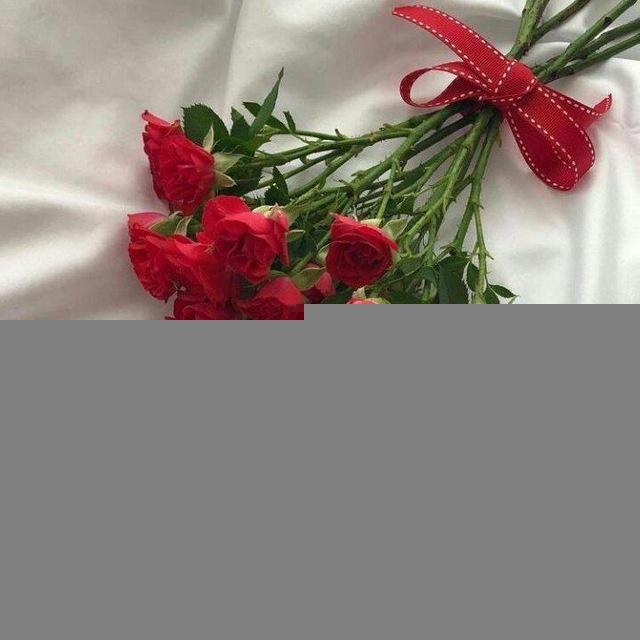 المؤنسات الغاليات 🌸 🎈
