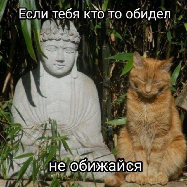 (не)путевые заметки