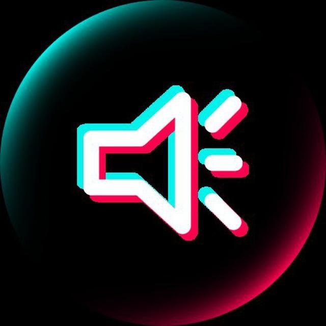 TikTok Bot | News - En