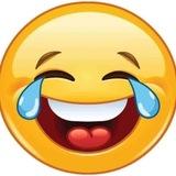 Funny videos and gifs