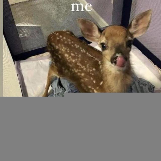 anak bunda