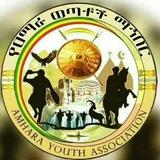 የአማራ ወጣቶች ማህበር (አወማ)